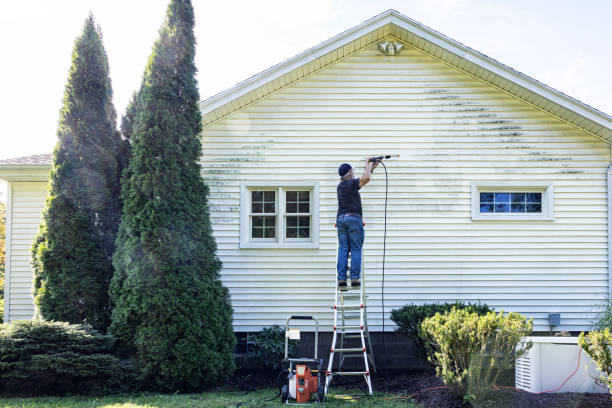 Best Building Exterior Washing  in Owatonna, MN